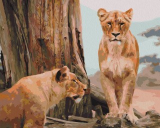 Картина по номерам «Львицы ожидают льва»