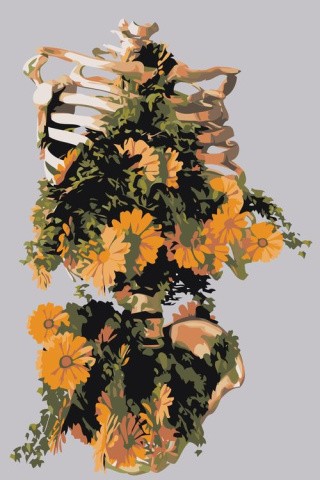 Картина по номерам «Ребра в цветах»