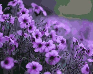 Картина по номерам «Пурпурные цветы» Картина по номерам «Пурпурные цветы»