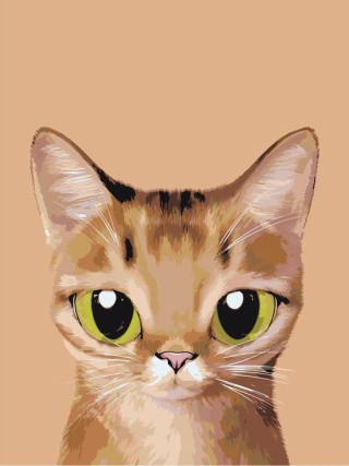 Картина по номерам «Абиссинец» Картина по номерам «Абиссинец»