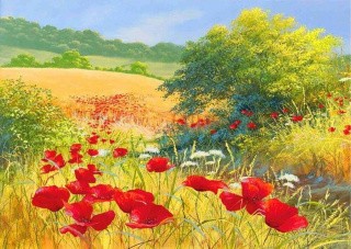 Рисунок на ткани «Маки» Рисунок на ткани «Маки»