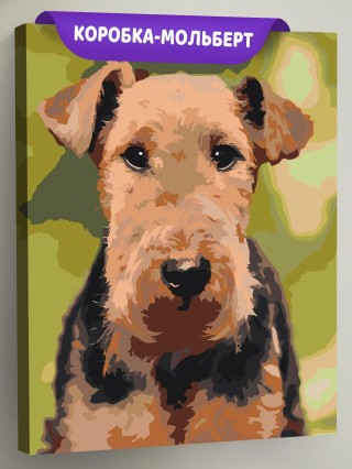 Картина по номерам Собака вельштерьер портрет Картина по номерам Собака вельштерьер портрет