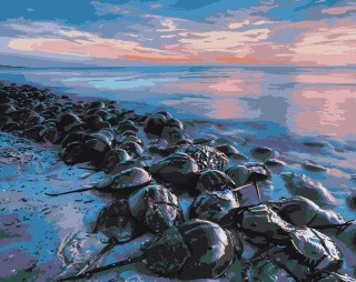 Картина по номерам «Камни» Картина по номерам «Камни»