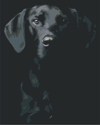 Картина по номерам «Чёрно-белый пёс»