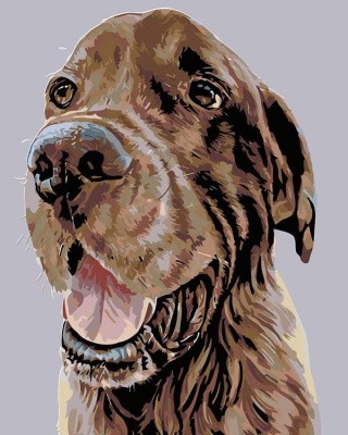 Картина по номерам «Ясон» Картина по номерам «Ясон»