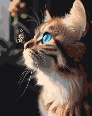 Картина по номерам «Голубоглазый кот и бабочка»