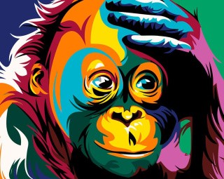 Картина по номерам «Разноцветная шимпанзе»