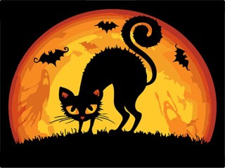 Картина по номерам «Хэллоуинская кошка» (мини-раскраска)