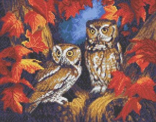 Рисунок на ткани «Две совы»