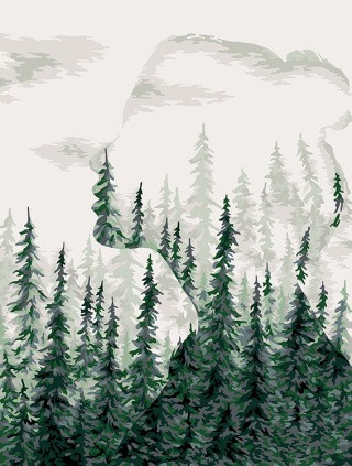Картина по номерам «Тень леса»