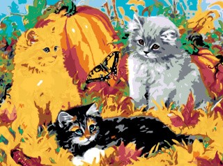 Картина по номерам «Котята и бабочка»