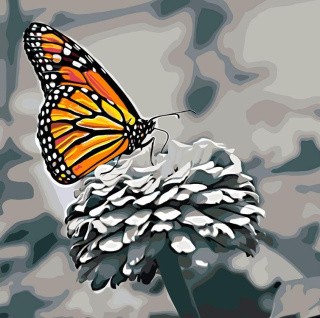 Картина по номерам «Бабочка на цветке»