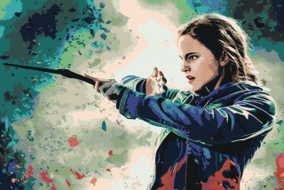 Картина по номерам «Гарри Поттер: Гермиона Грейнджер» Картина по номерам «Гарри Поттер: Гермиона Грейнджер»