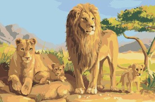 Картина по номерам «Семейство львов»