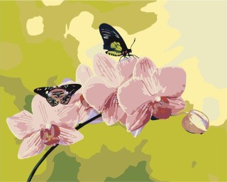 Картина по номерам «Бабочки на цветках»