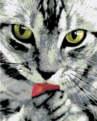 Картина по номерам «Чистоплотный кот»