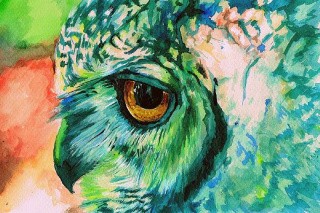 Алмазная вышивка «Взгляд совы» Алмазная вышивка «Взгляд совы»