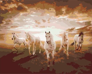 Картина по номерам «Лошади на закате»