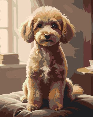 Картина по номерам Собака милый той пудель в комнате