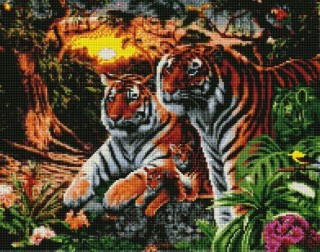 Алмазная вышивка «Джунгли» Алмазная вышивка «Джунгли»