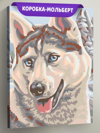 Картина по номерам «Хаски» Картина по номерам «Хаски»