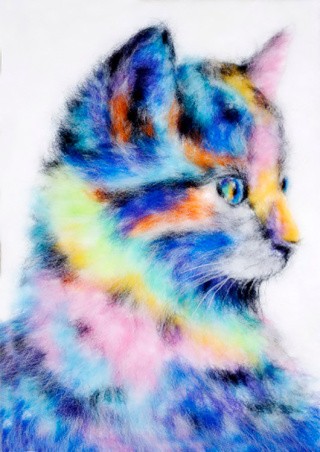 Картина шерстью «Радужный котенок»