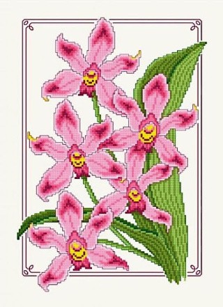 Набор для вышивания «Дикая орхидея»
