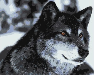 Картина по номерам «Волк» Картина по номерам «Волк»