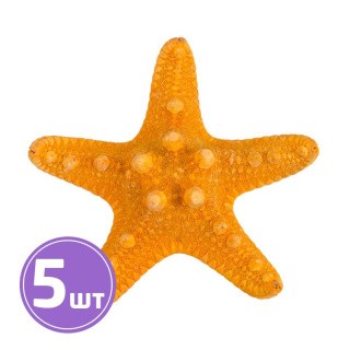 Звезда морская декоративная, 10 см, 5 шт., цвет: №02 оранжевый, Blumentag