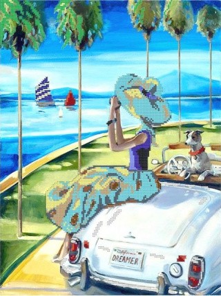 Рисунок на канве «Наблюдение» Рисунок на канве «Наблюдение»