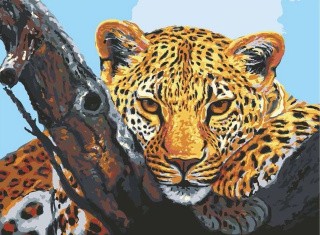 Рисунок на ткани «Взгляд леопарда»