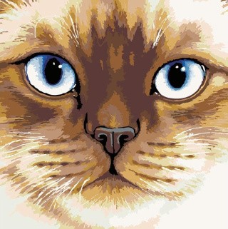 Картина по номерам «Сиамская кошка»