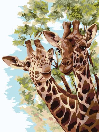 Картина по номерам «Жирафы в саванне»
