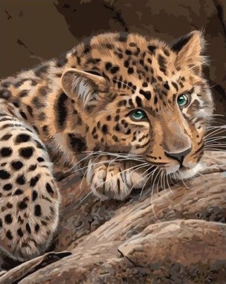 Картина по номерам «Взгляд леопарда» Картина по номерам «Взгляд леопарда»