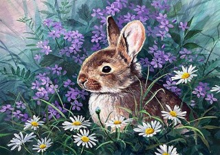 Рисунок на ткани «Зайчонок в ромашках»