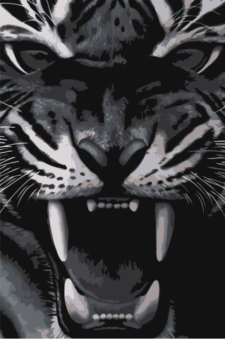 Картина по номерам «Тигриный оскал»