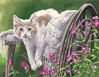 Картина по номерам «Кошка на отдыхе»