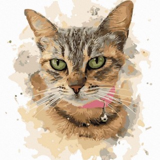 Картина по номерам «Домашняя кошка»
