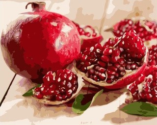 Картина по номерам «Спелый гранат» Картина по номерам «Спелый гранат»
