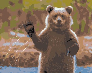 Картина по номерам «Бурый медведь»