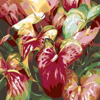 Картина по номерам «Антуриум» Картина по номерам «Антуриум»