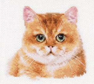 Набор для вышивания «Плюшевый кот»