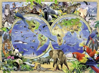 Пазлы «Мир дикой природы»