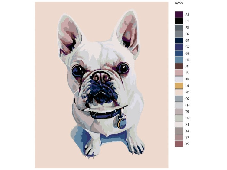 Картина по номерам «Тибо» — картинка 2