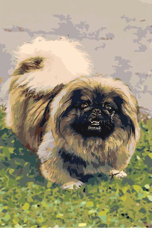 Картина по номерам «Собака на лужайке»
