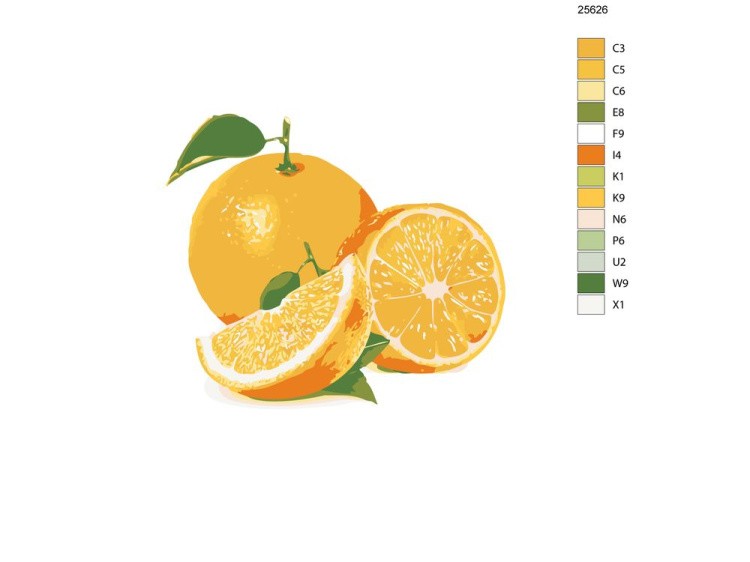 Картина по номерам «Сочный апельсин» — картинка 2