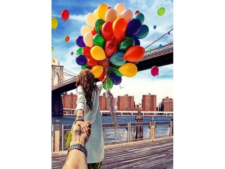 Картина по номерам «Следуй за мной. Бруклин» — картинка 2