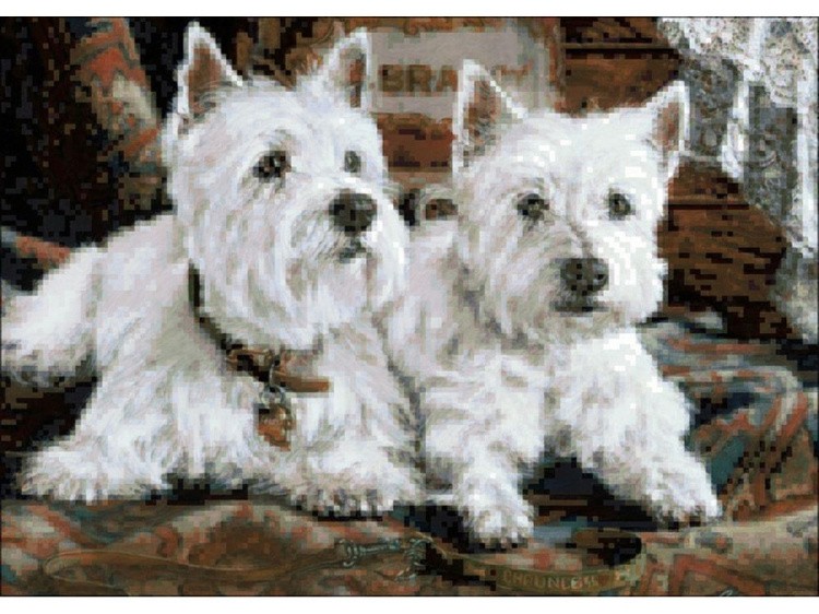 Алмазная вышивка «Близнецы» — картинка 2