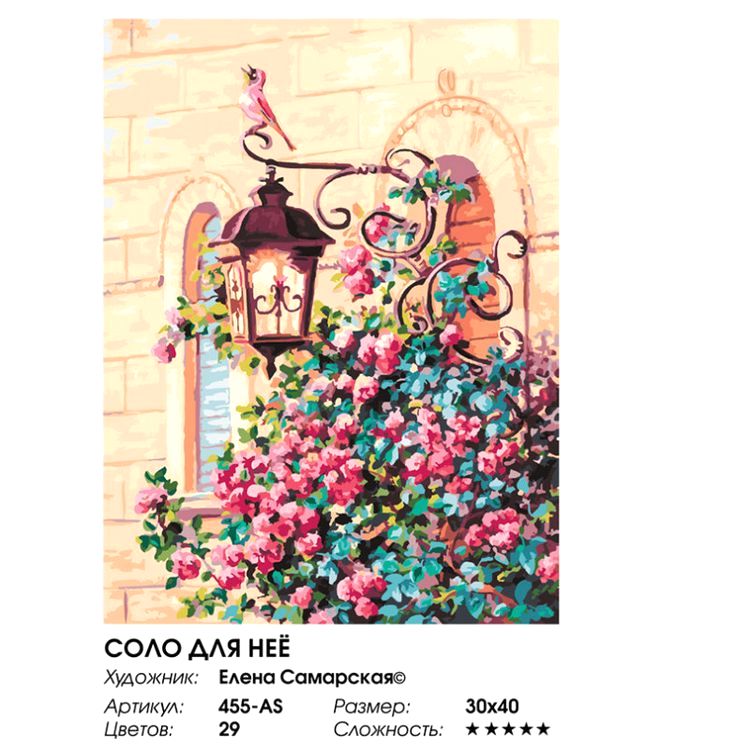 Картина по номерам «Соло для нее» — картинка 2
