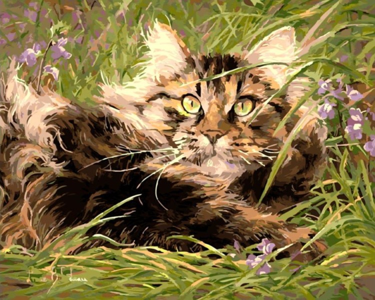 Картина по номерам «Ушастый кот»